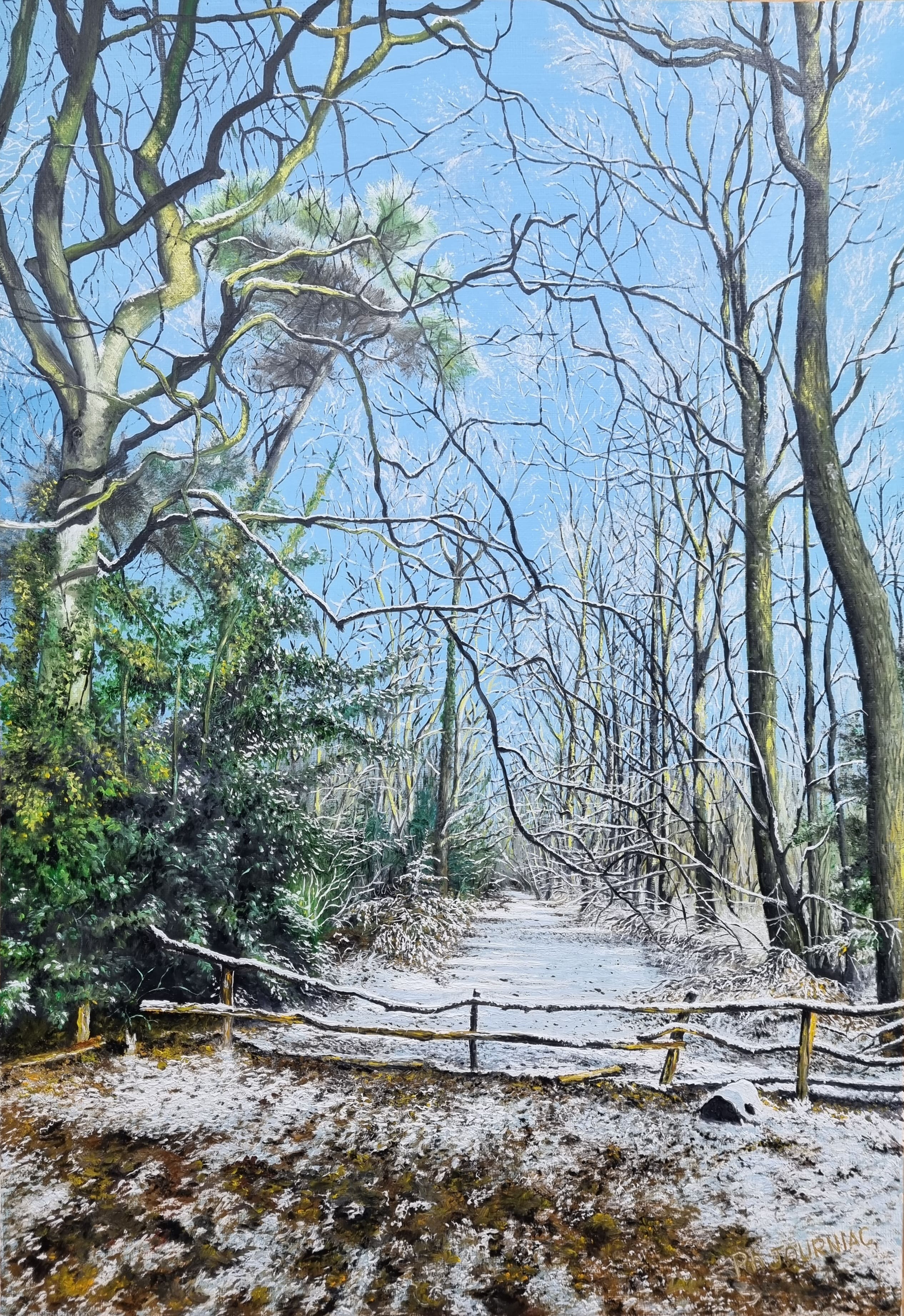 CHEMIN DE L'HIVER